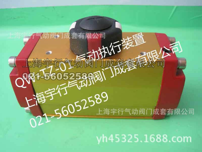 QW-TZ05气动执行器老款**气缸(图2)