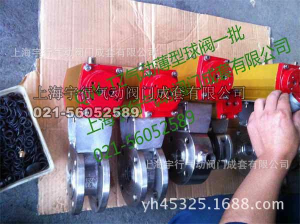 QW-TZ05气动执行器老款**气缸(图18)