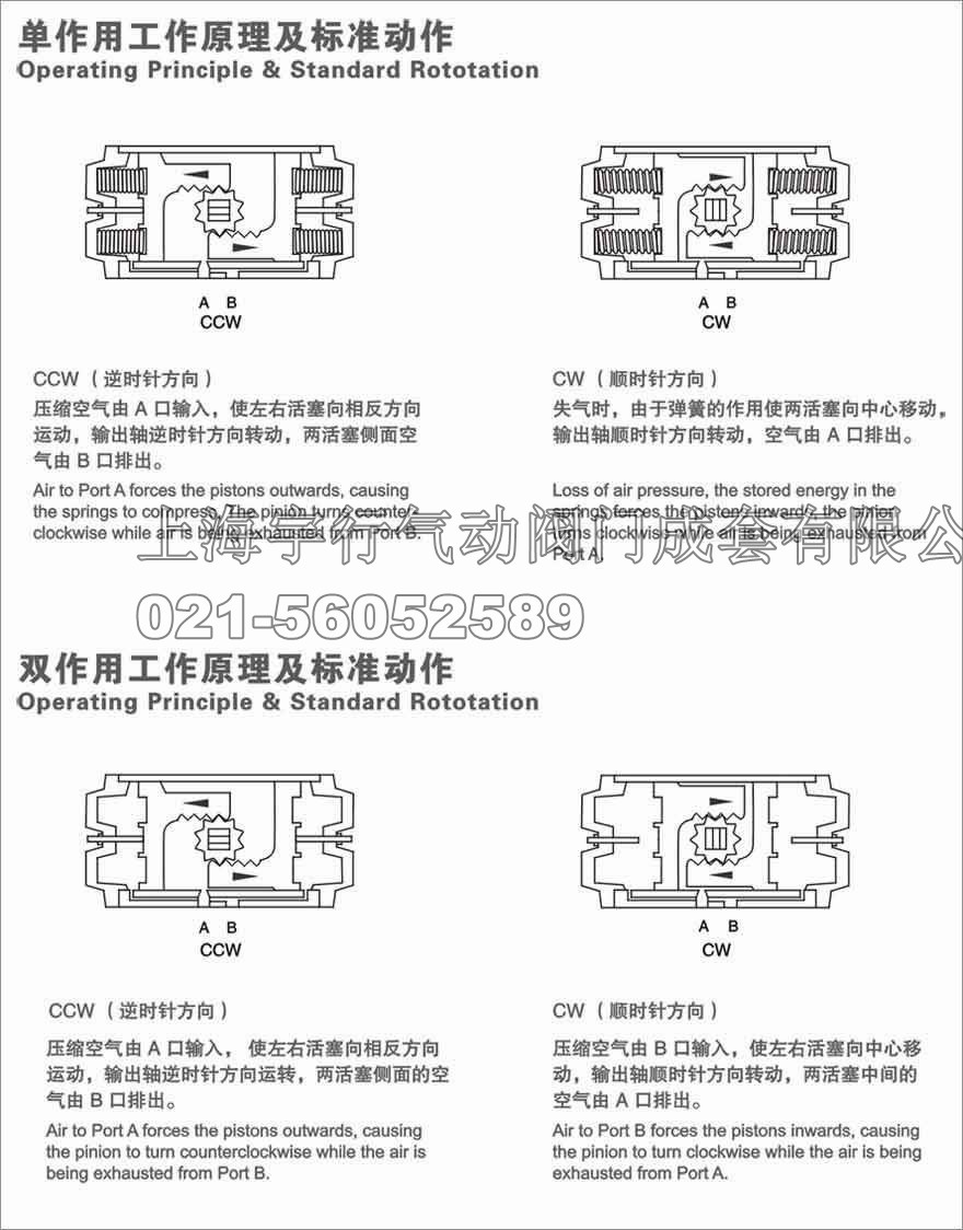 GT气动执行器(图10)