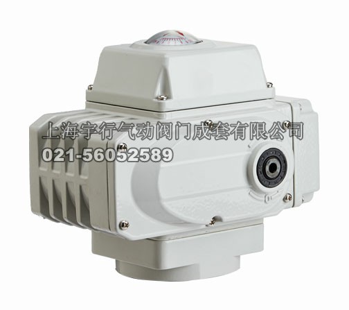 精小型电动执行器(图1)