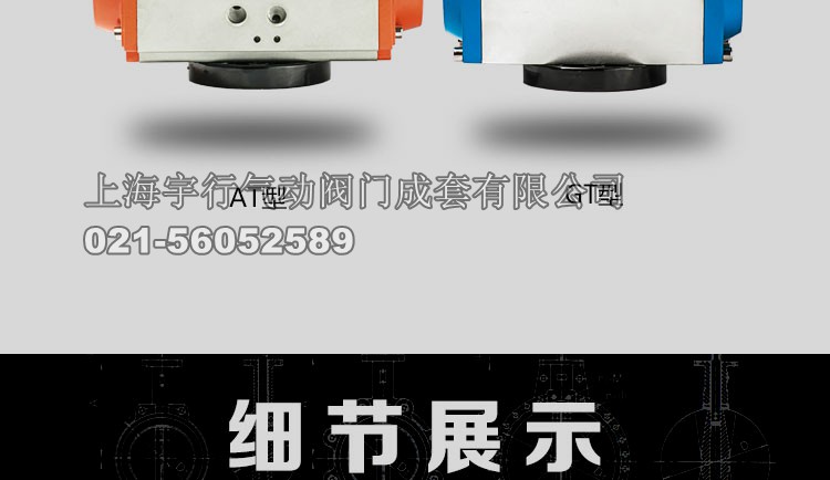 AT/GT气动执行器(图21)