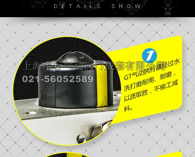 AT/GT气动执行器(图22)