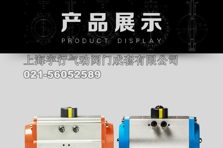 AT/GT气动执行器(图20)