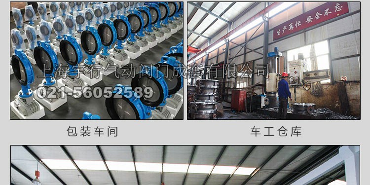 AT/GT气动执行器(图28)