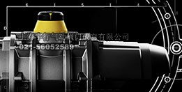 意大利Air Torque气动执行器(图6)