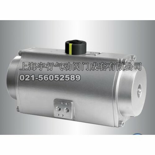 RT不锈钢执行器